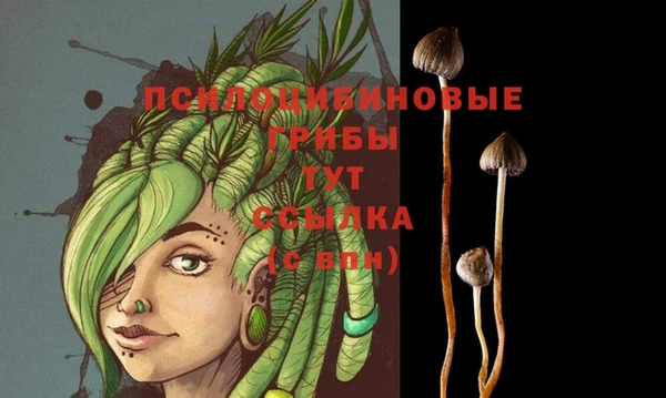 соль курить ск Балахна